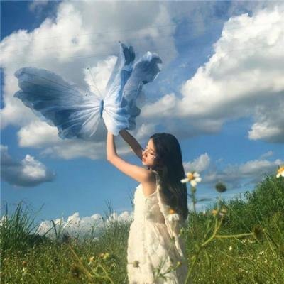 埃默里维尔实验