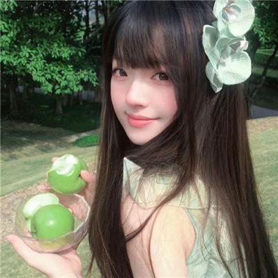 槑头槑脑3